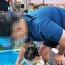 아람반점