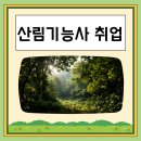 유림조경목재