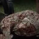 밥풀떼기 이미지