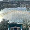 수직의 정원 | 2026 서울 가볼만한곳 | 기네스북 등재! 서울시청 수직정원 서울림 힐링 후기 (주차, 로봇카페 꿀팁)