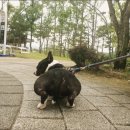 세차마당 이미지