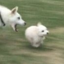 뿌리동물병원 이미지