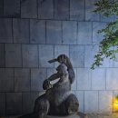 등산초보 한라산 등반 후기 (6월 준비물, 예약방법)