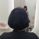 오비드헤어살롱 이미지