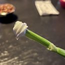 (주)블랙썬 당구장 | [연남동 칵테일바 혼술바 추천] 홍대 혼술깃털 솔직후기