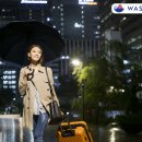 멋쟁이세탁 이미지