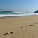 속초해변(중문) 이미지