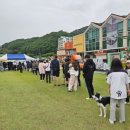 딜라이트럭 네이버블로그