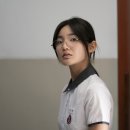 개'S 라인 이미지
