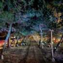 동호정비 이미지