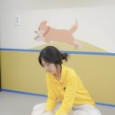 옐레드 동탄예당점 | 동탄 애견유치원_옐레드 동탄예당점 강아지 유치원 동탄애견유치원