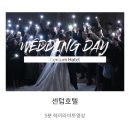 부산 본식 DVD 보아크레이티브 계약 후기 (짝꿍 구해요)