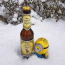 굿샵컴퍼니 | [굿샵] 맥주품평단-소넨호펜맥주Gaffels Sonnen Hopfen 후기