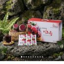 농심농원 | 청룡농원 제주산 레드비트즙 75포 최저가 구입방법 후기