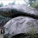 숲소리마을 이미지