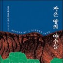 작은 땅의 야수들 - 김주혜