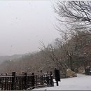 북한산 백화사~가사당암문~용출봉~대남문~산성입구(231230). 이미지