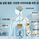 하루,한끼 | 하루 한 끼 다이어트 7일 후기, 살은 빠질까? 직접 해본 리얼 변화와 단점
