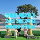 태양커피호프 이미지
