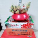 초전농업협동조합 이미지