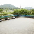 덕산지하수