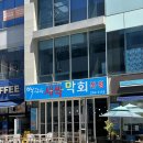 여울모텔 | 전주 백김치 새싹막회 서신본점 | 11시 오픈 낮술 가능 전주 횟집