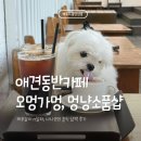 오멍가멍 애견카페&호텔 | 제주 애견카페 운동장까지 완비, 오멍가멍 &amp; 멍냥소품샵