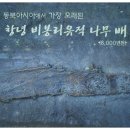 우포늪생태관 이미지