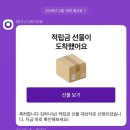 돈엔비 | 도착했다고? 5천점 가장 잘쓰기 >> 엔비럭키스트라이프양말 후기 but 지금 5천점있으면 저는 나이키...