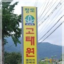 풍물장터경매 티스토리