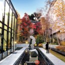 미술관 산책 이미지