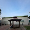 대전문성초등학교 | 제9회 지방선거 본 투표 오전 참관인 (사전투표 vs 본투표 차이점)