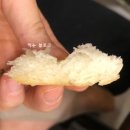강남식빵 이미지