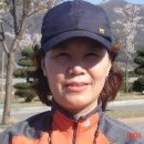 수원-0183 Daum카페
