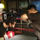 빅베어 복싱짐 이미지