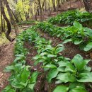 종근농장 이미지