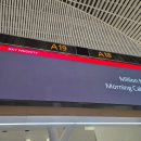 승진여객 | KE483 인천-푸꾸옥 프레스티지 스위트｜ 돌아기랑 유아동반 비행, 기내식 후기(feat.패스트트랙)