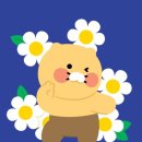 위글위글집명동 이미지