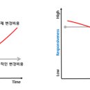 현클린 이미지
