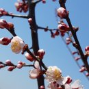 선암농장 이미지