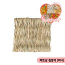 앵무새둥지