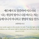 세상의빛 이미지