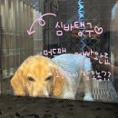 티몬이네 목욕탕 이미지
