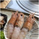 바다횟집 이미지
