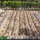 속리산자연펜션 이미지