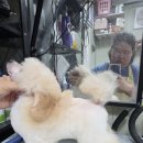 스테이 모량 이미지