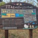 송담4로 이미지