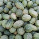 한아름농원 이미지