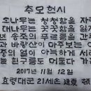 청흥 티스토리