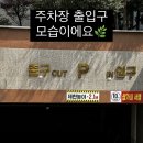 에스테틱,치유